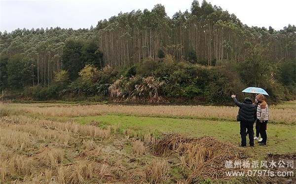 抚州市陈老师带着爱徒寻龙点穴